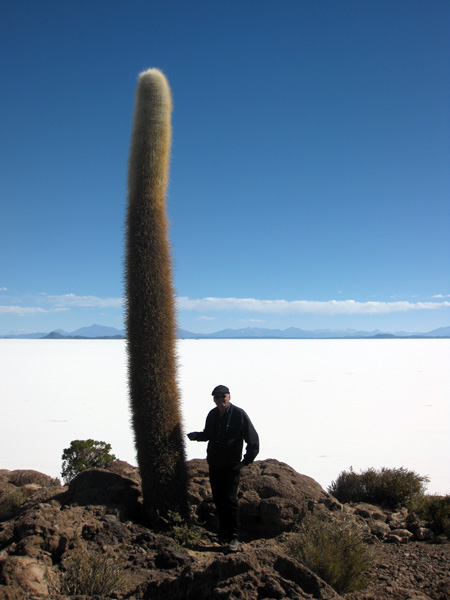 Cactus de 900 ans