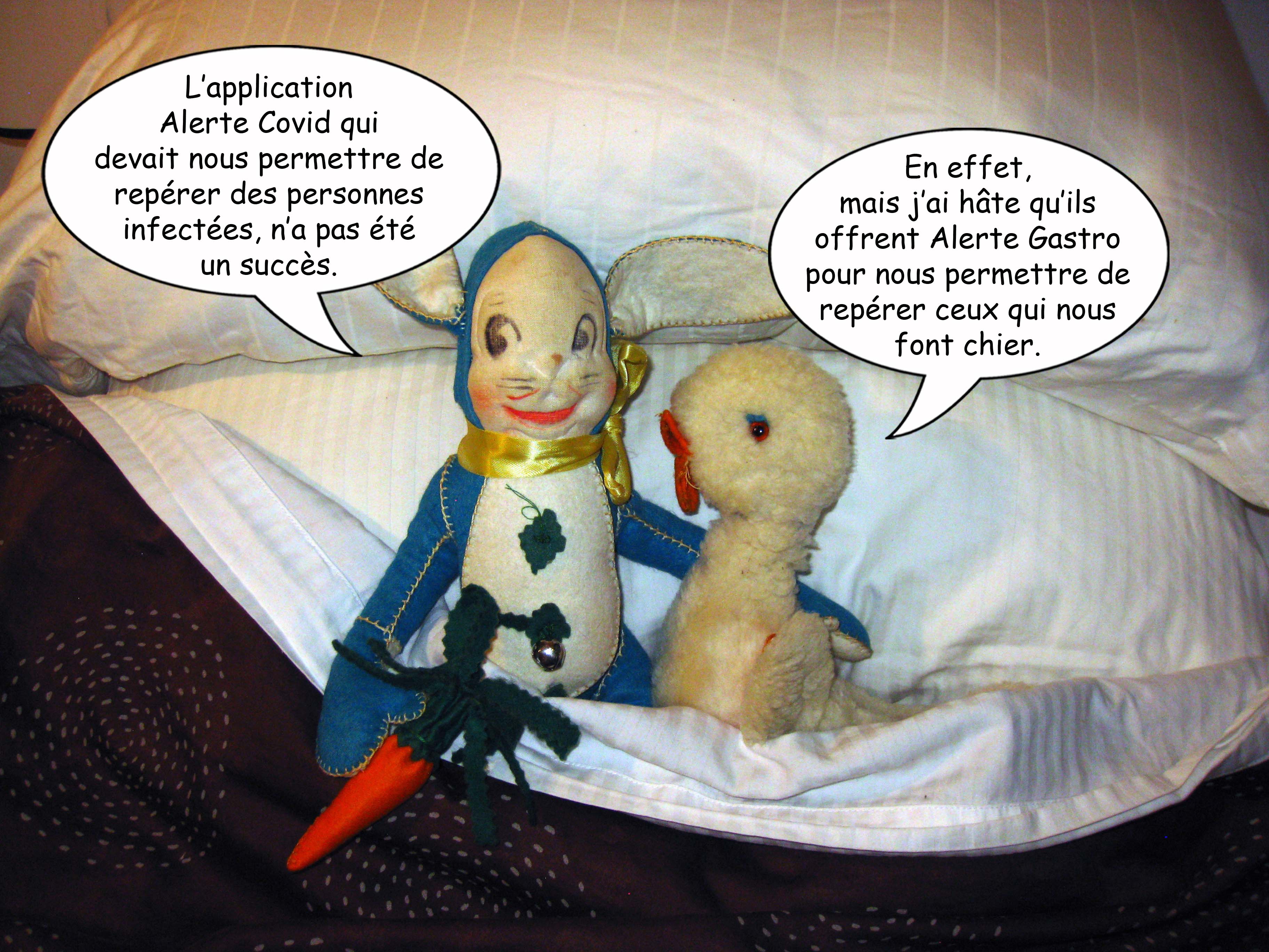 Canard Lapin 13 2021 06 12 Covid