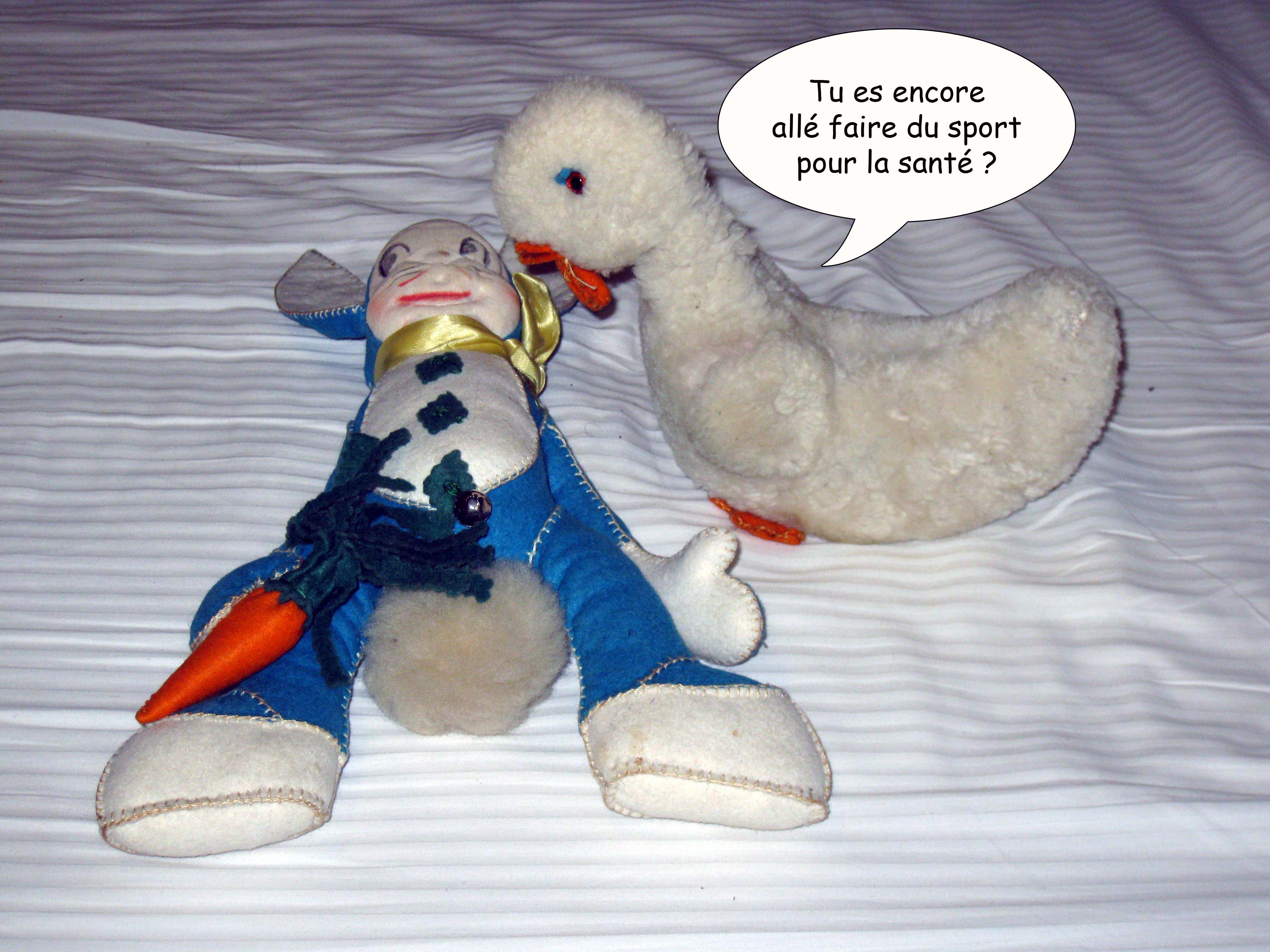 Canard Lapin 40 2021 07 28
